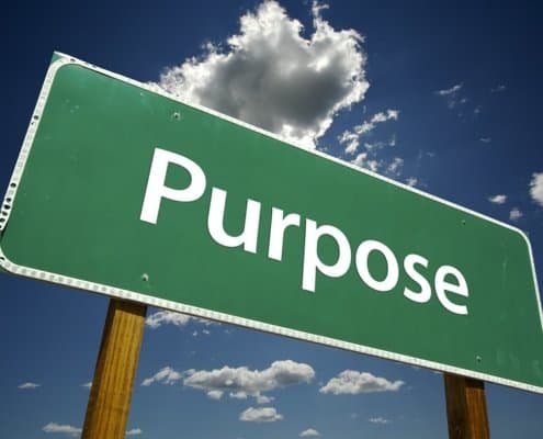 Purpose of a company